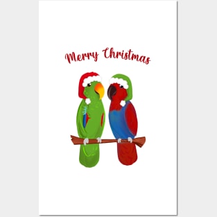 Funny Eclectus Merry Christmas Every birdie Posters and Art